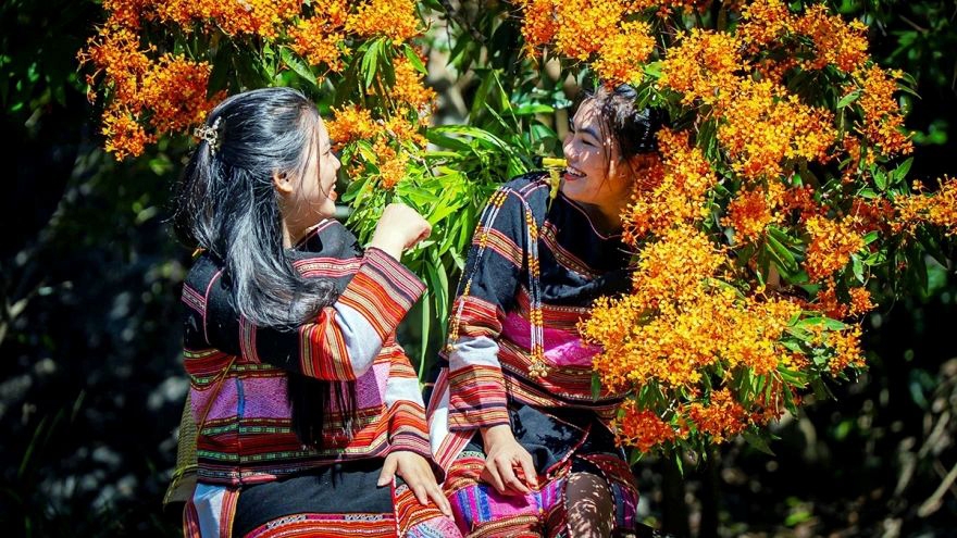 Seasonal wild ixora bloom puts Ta Ma Stream on tourism map